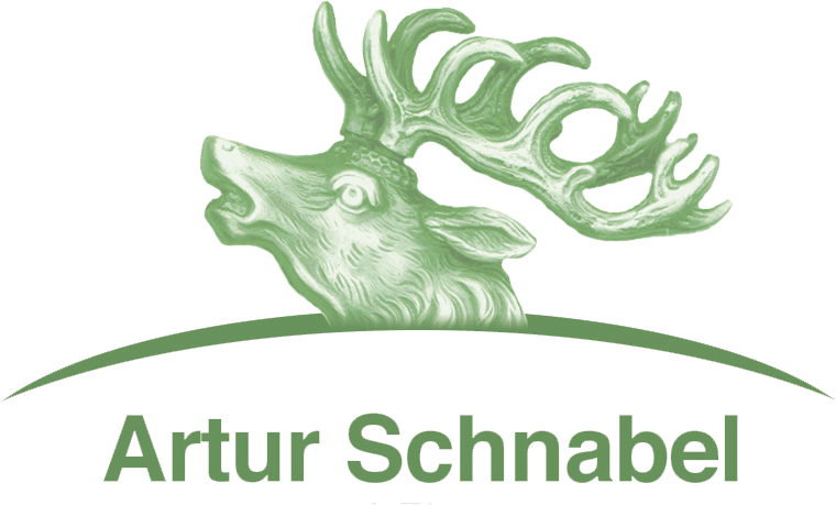 Schlüsselanhänger Smart Cabrio - Artur Schnabel GmbH